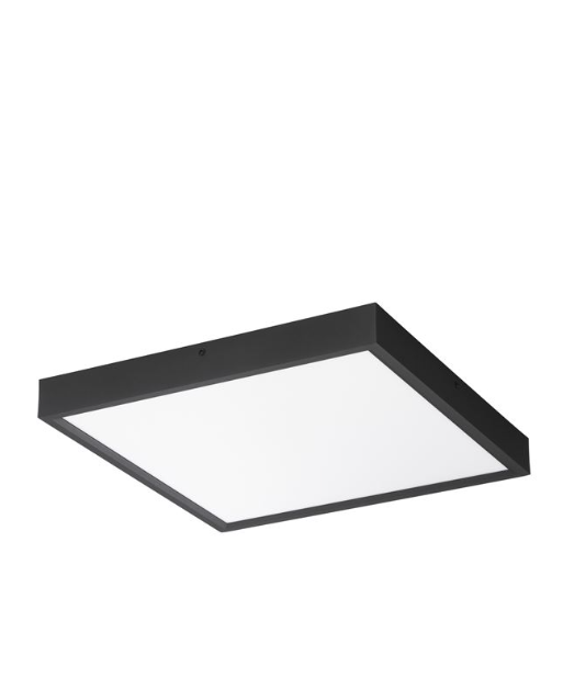 צילום מסך 2026-04-14 163955