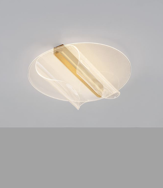 צילום מסך 2026-04-14 164338