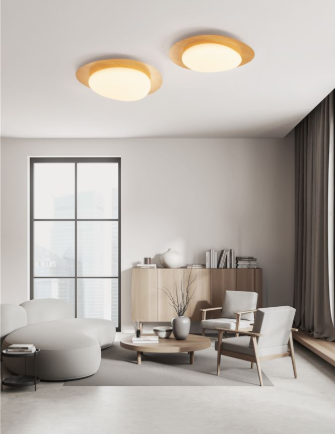 צילום מסך 2026-04-14 165044