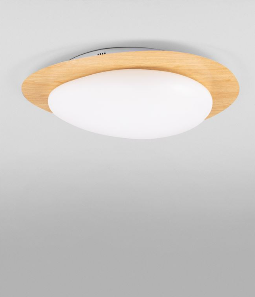 צילום מסך 2026-04-14 165051