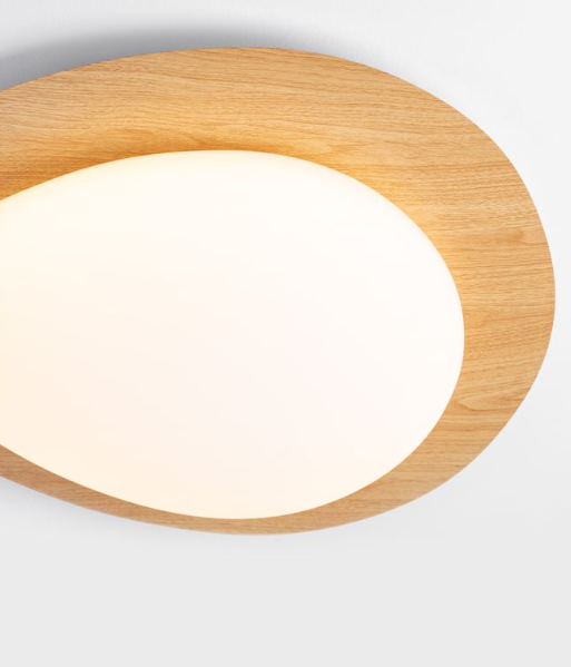 צילום מסך 2026-04-14 165056