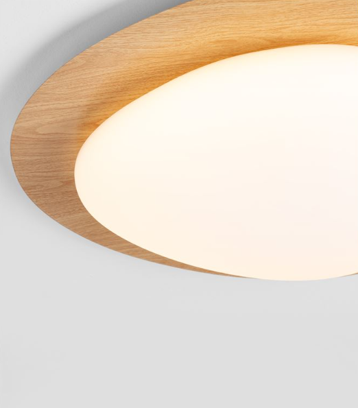 צילום מסך 2026-04-14 165100